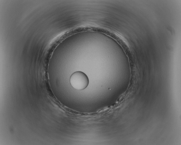 X0000115210872200911121902