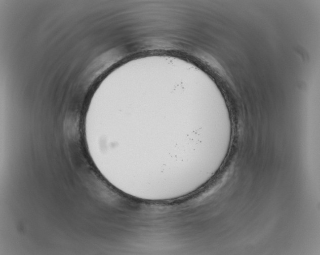X0000115210873200911121902