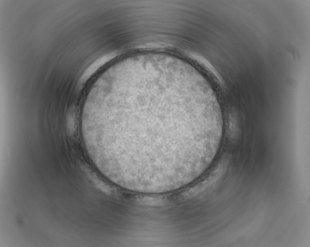 X0000115210874200911121902
