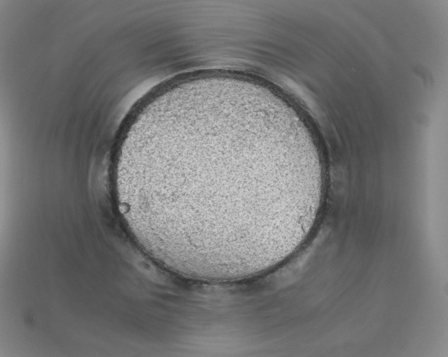 X0000115210875200911121902