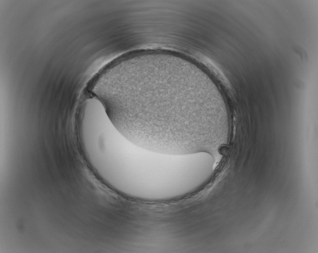 X0000115210876200911121902
