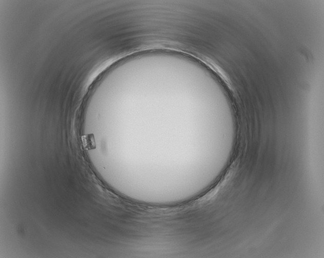 X0000115210877200911121902