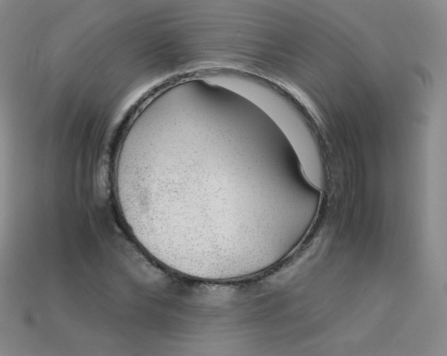 X0000115210878200911121902