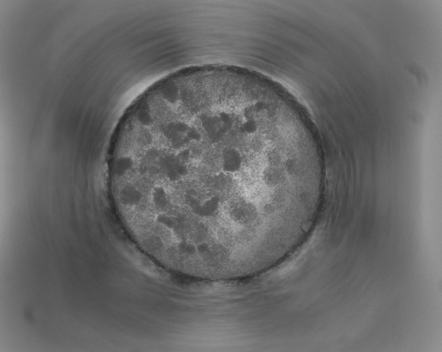 X0000115210879200911121902