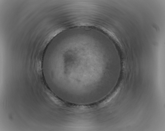 X0000115210881200911121902