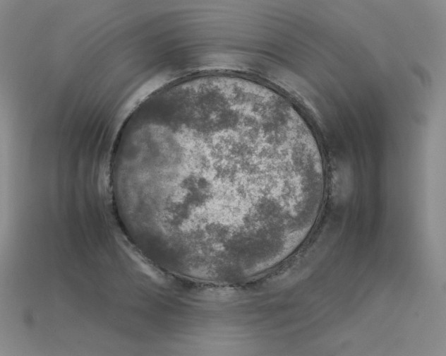 X0000115210882200911121902