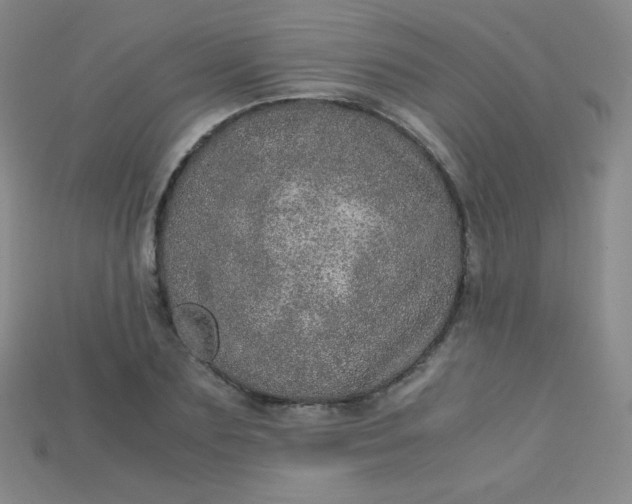X0000115210883200911121902