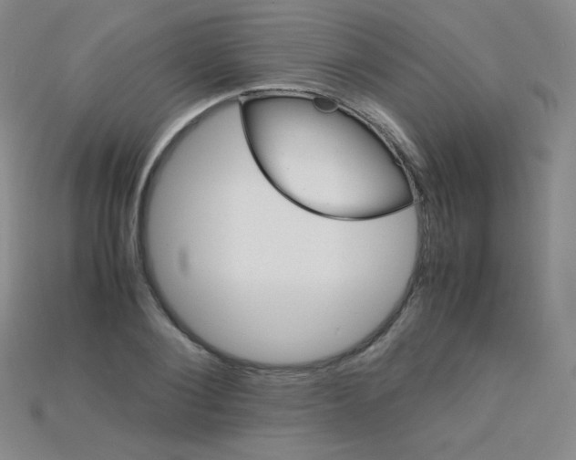 X0000115210884200911121902