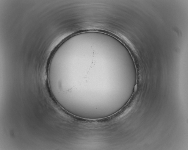 X0000115210885200911121902