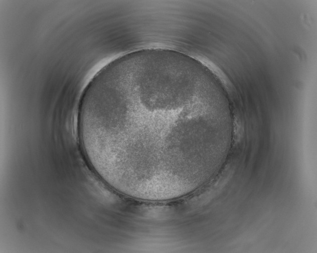 X0000115210886200911121902