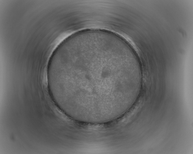 X0000115210887200911121902