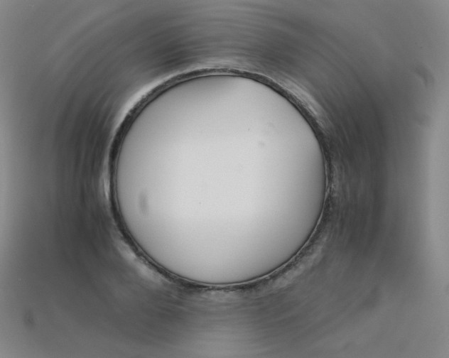X0000115210888200911121902