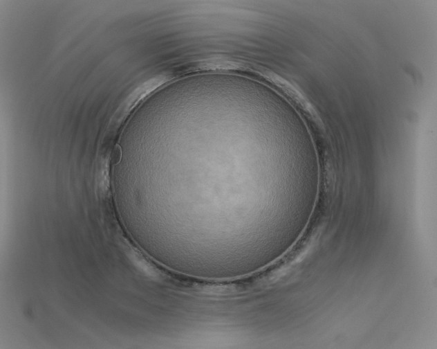 X0000115210889200911121902