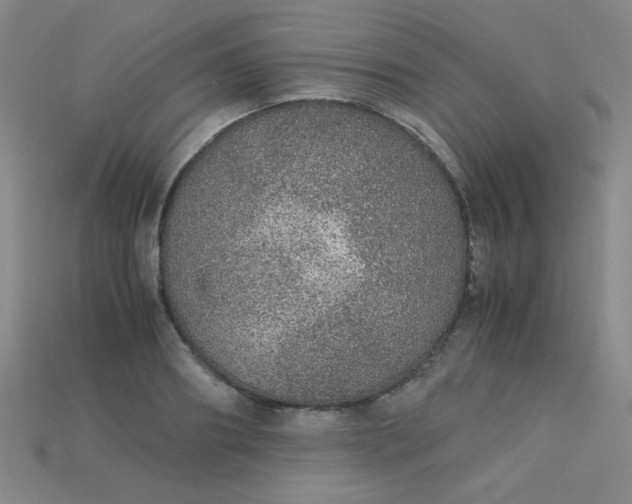X0000115210890200911121902