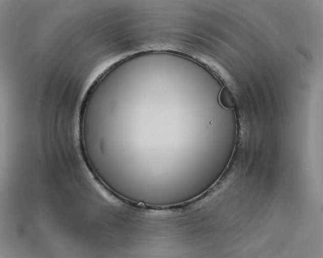 X0000115210894200911121902