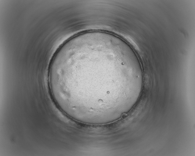 X0000115210895200911121902