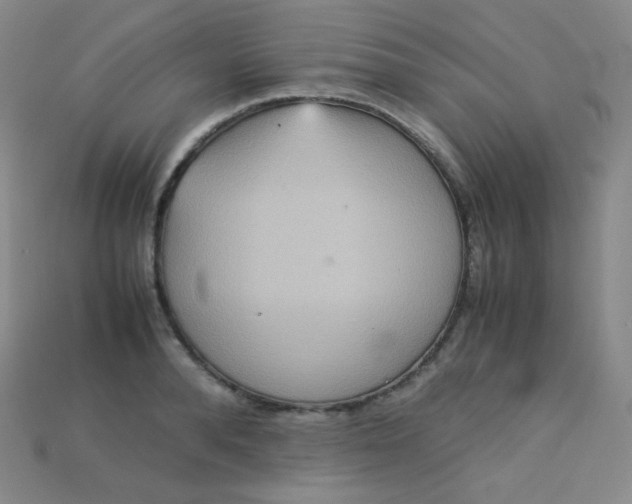 X0000115210896200911121902