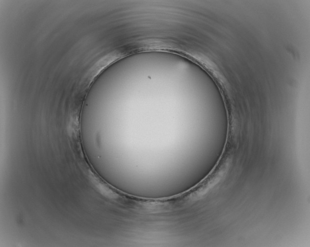 X0000115210897200911121902