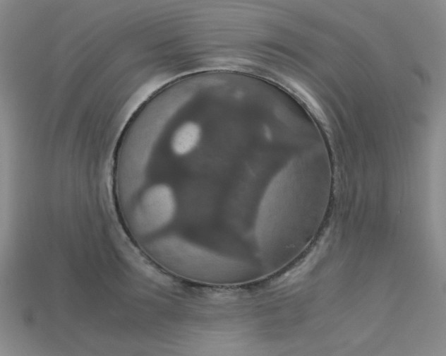 X0000115210899200911121902