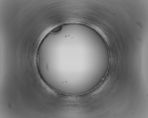 X0000115210901200911121902