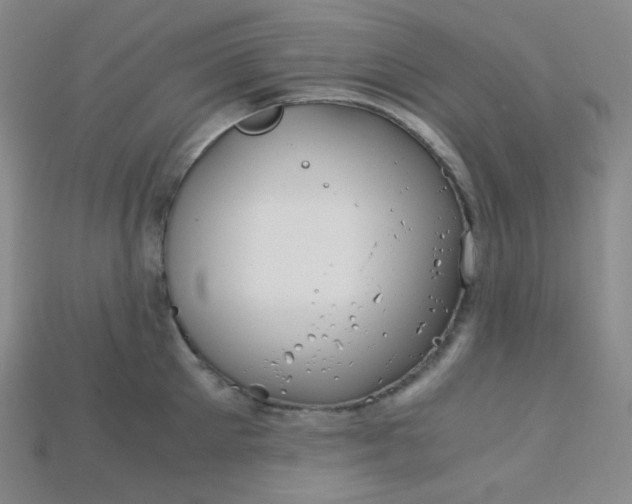 X0000115210905200911121901