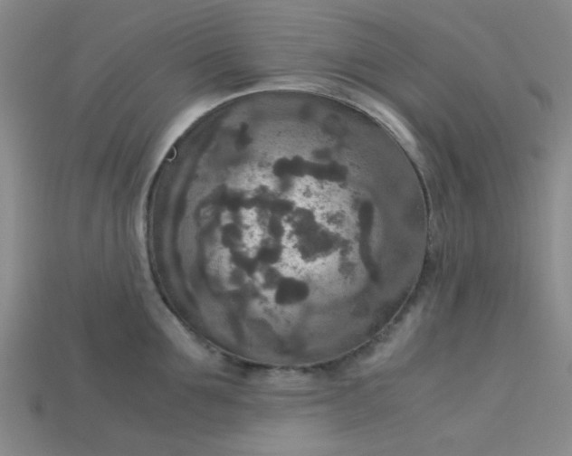 X0000115210907200911121901
