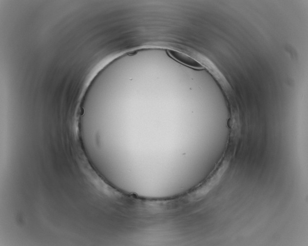 X0000115210908200911121901