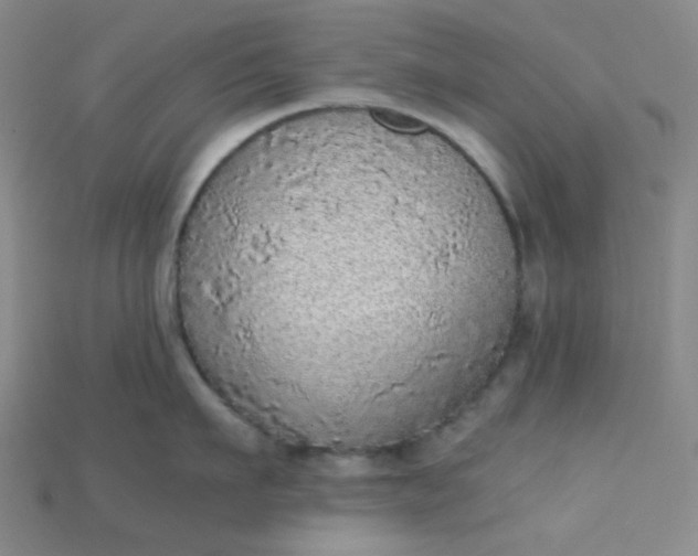X0000115210911200911121901