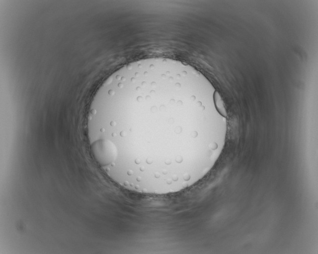 X0000115210913200911121901