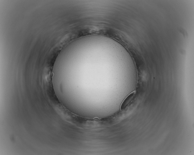 X0000115210914200911121901