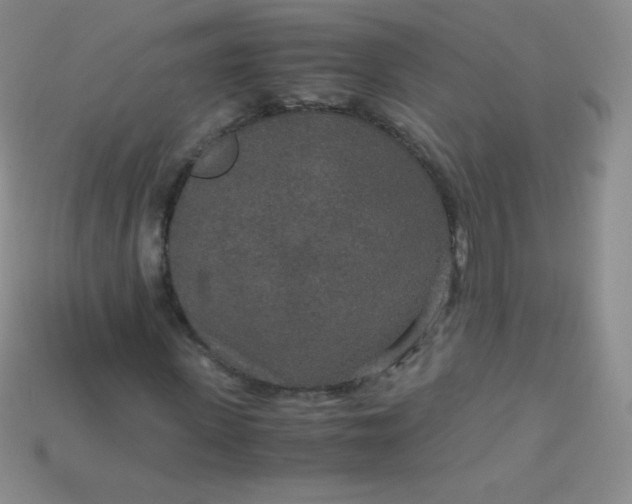 X0000115210915200911121901