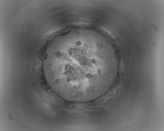 X0000115210917200911121901