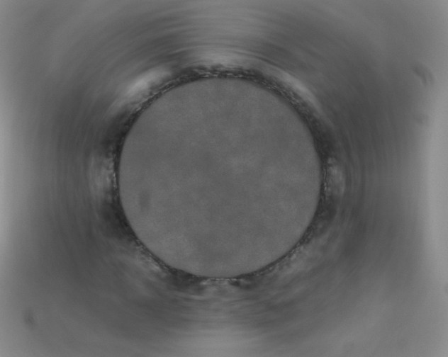 X0000115210918200911121901
