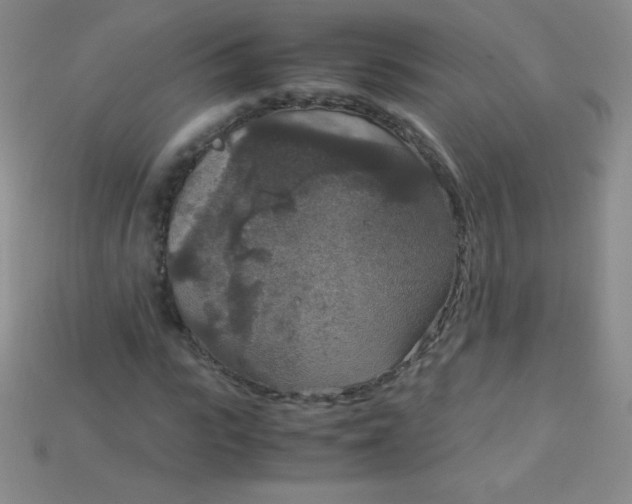 X0000115210919200911121901