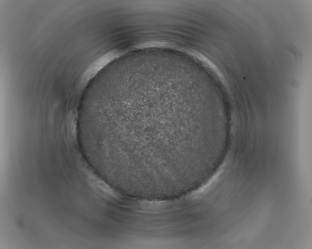 X0000115210921200911121901