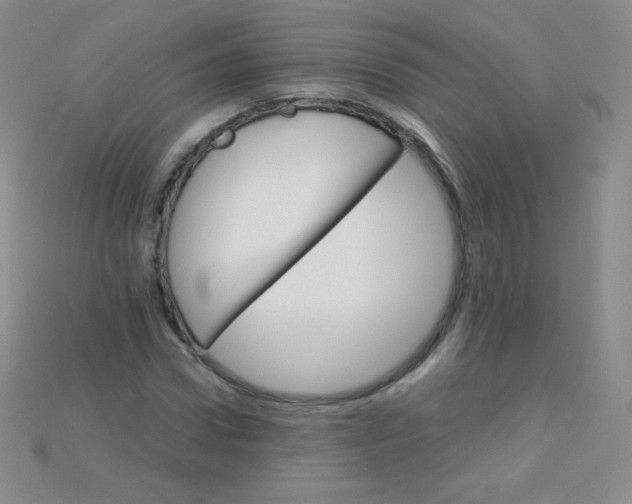 X0000115210922200911121901