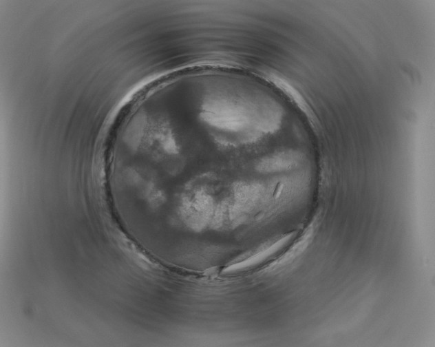 X0000115210923200911121901