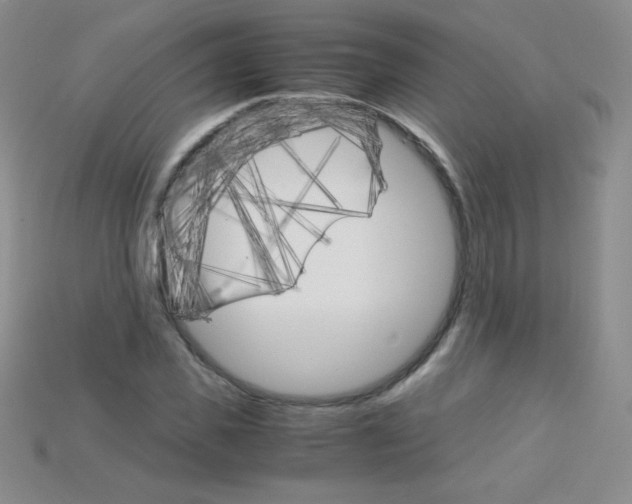 X0000115210925200911121901
