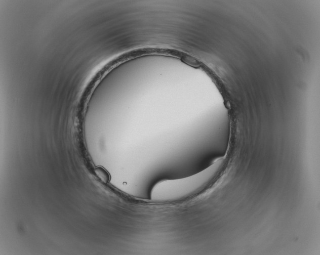 X0000115210926200911121901