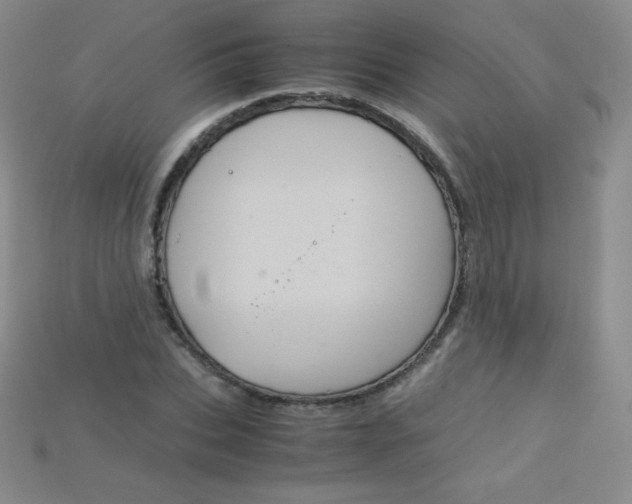 X0000115210927200911121901