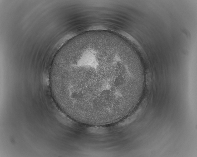 X0000115210929200911121901