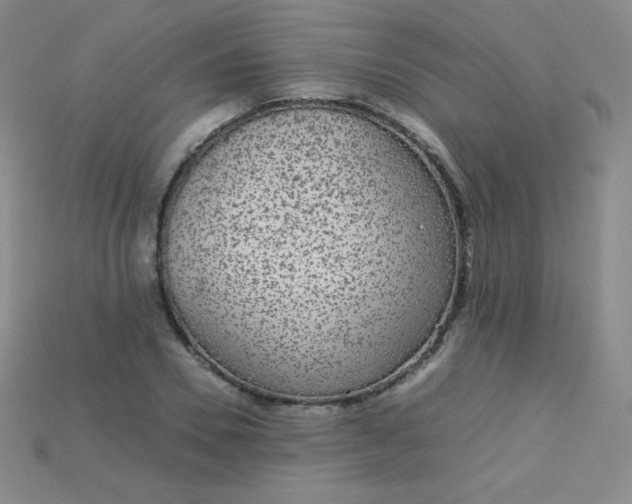 X0000115210930200911121901