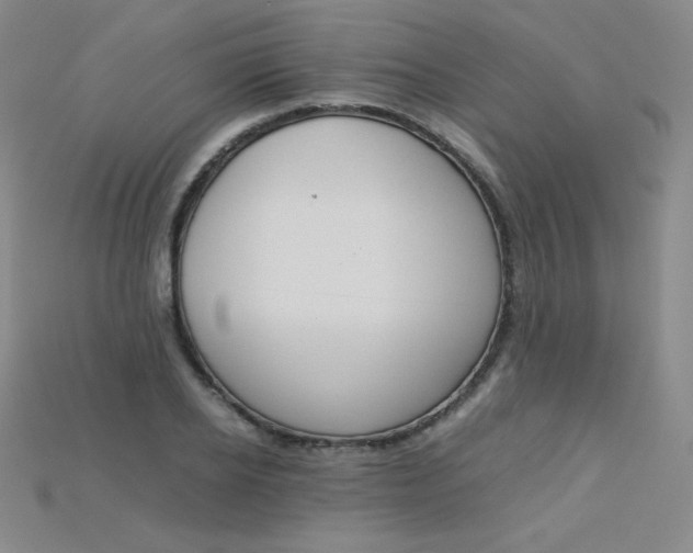X0000115210934200911121901