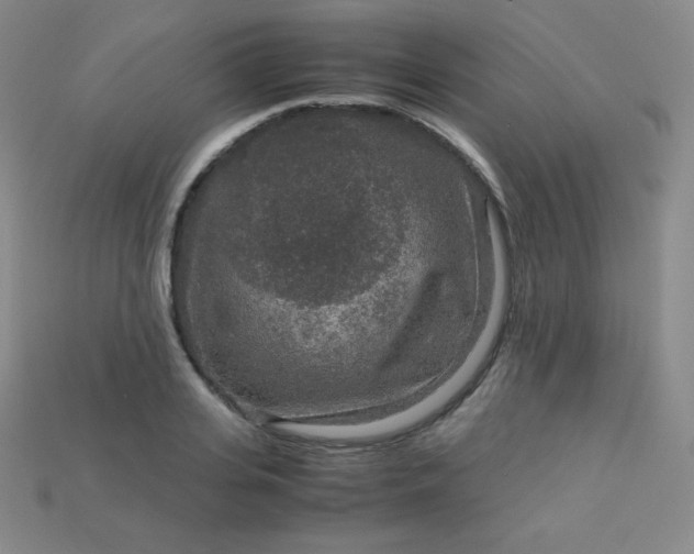 X0000115210935200911121901