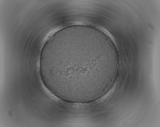 X0000115210938200911121901