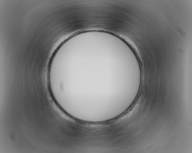 X0000115210941200911121901