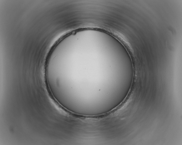 X0000115210942200911121901