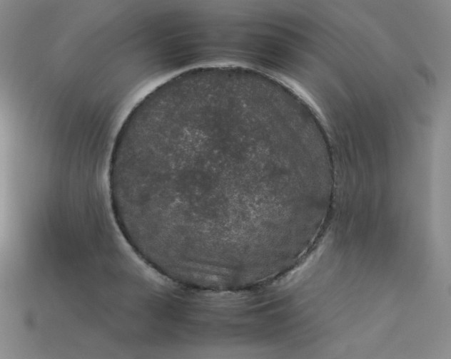 X0000115210943200911121901