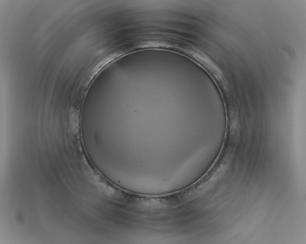 X0000115210945200911121901