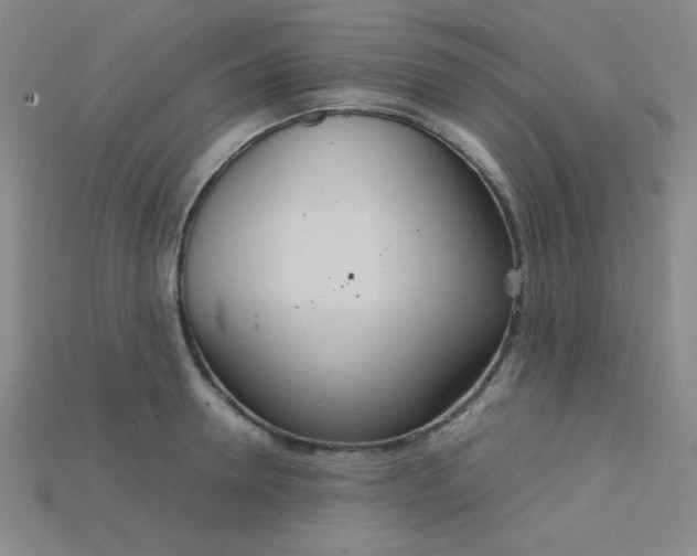 X0000115210946200911121901